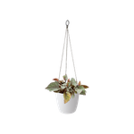 brussels suspension 18cm blanc